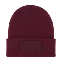Rectangular Patch Beanie - Maroon - ONE - UC410
